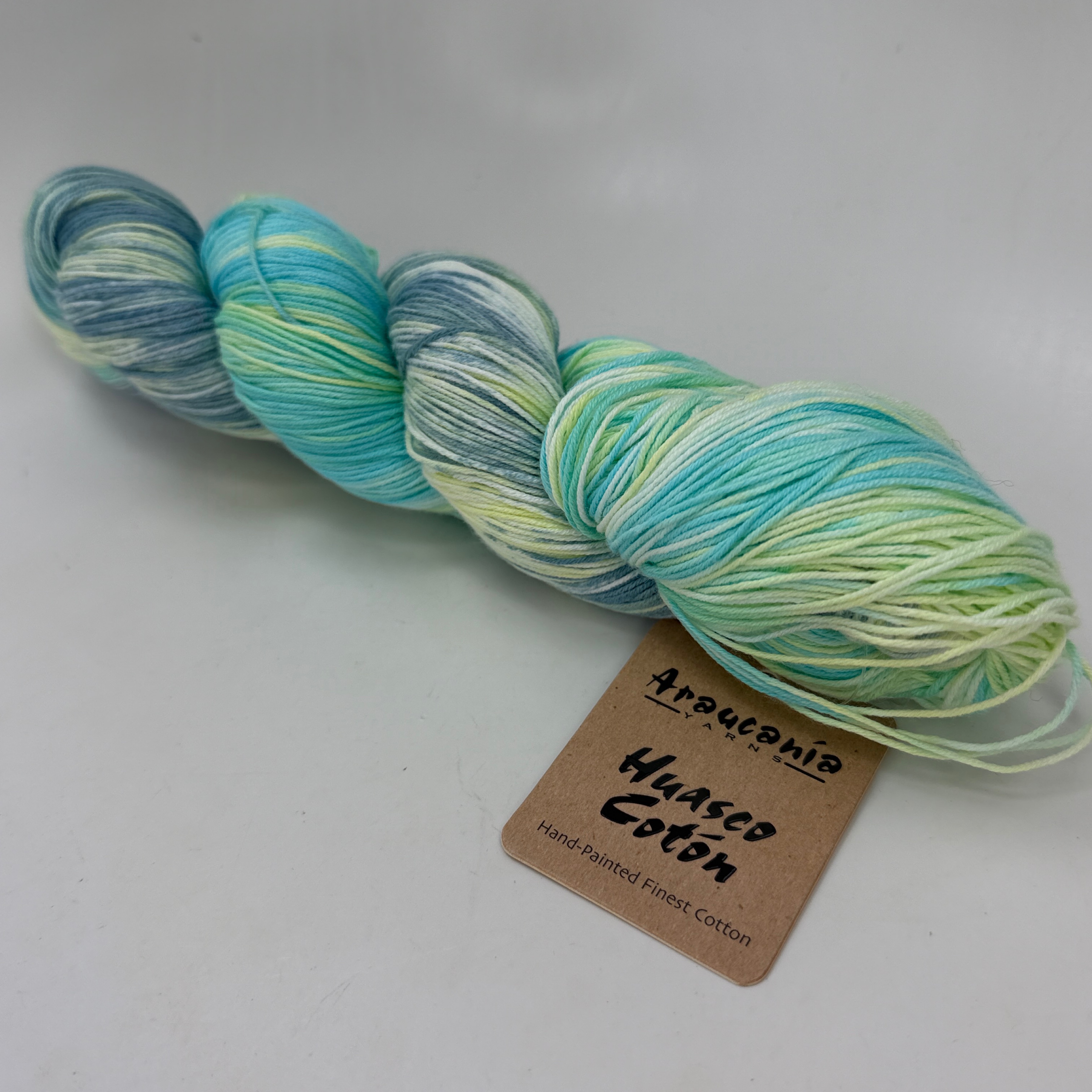 Araucania Huasco Coton Hand Painted Cotton Yarn 100g 481yd 1026 Huancaraylla