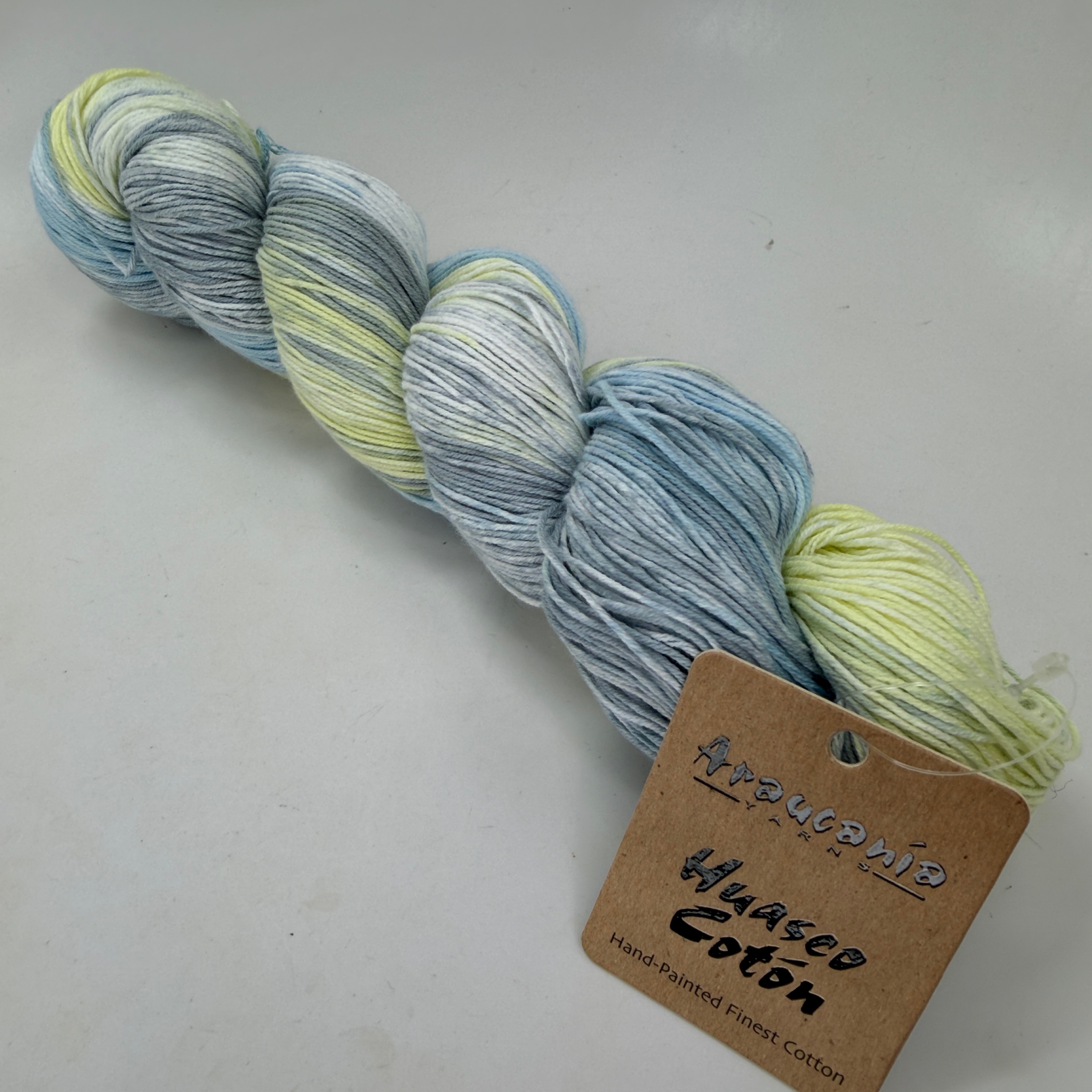 Araucania Huasco Coton Hand Painted Cotton Yarn 100g 1031 Suipacha 481 yds