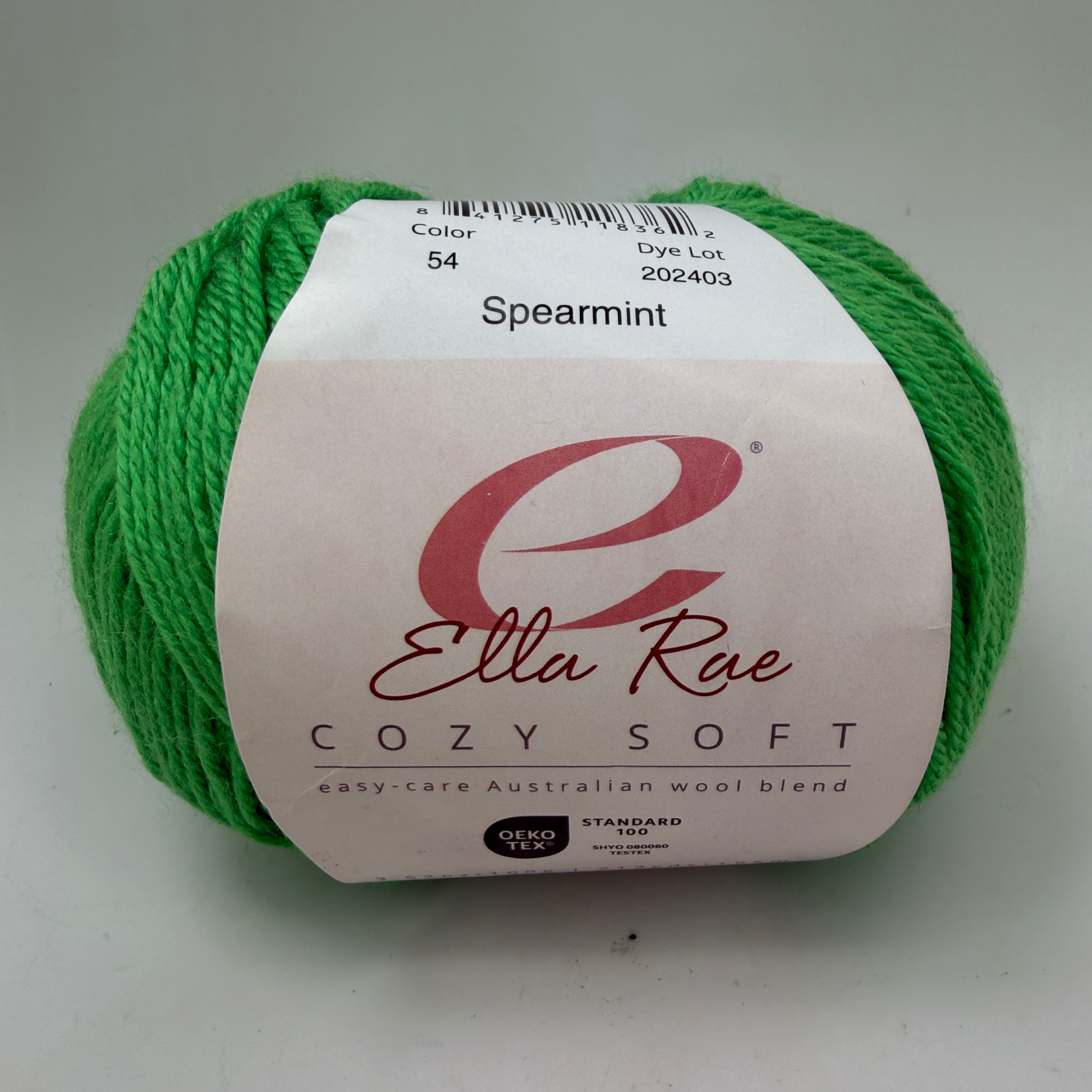 Ella Rae Cozy Soft Yarn Spearmint Color 54 Wool Blend 100g Skein DK Weight